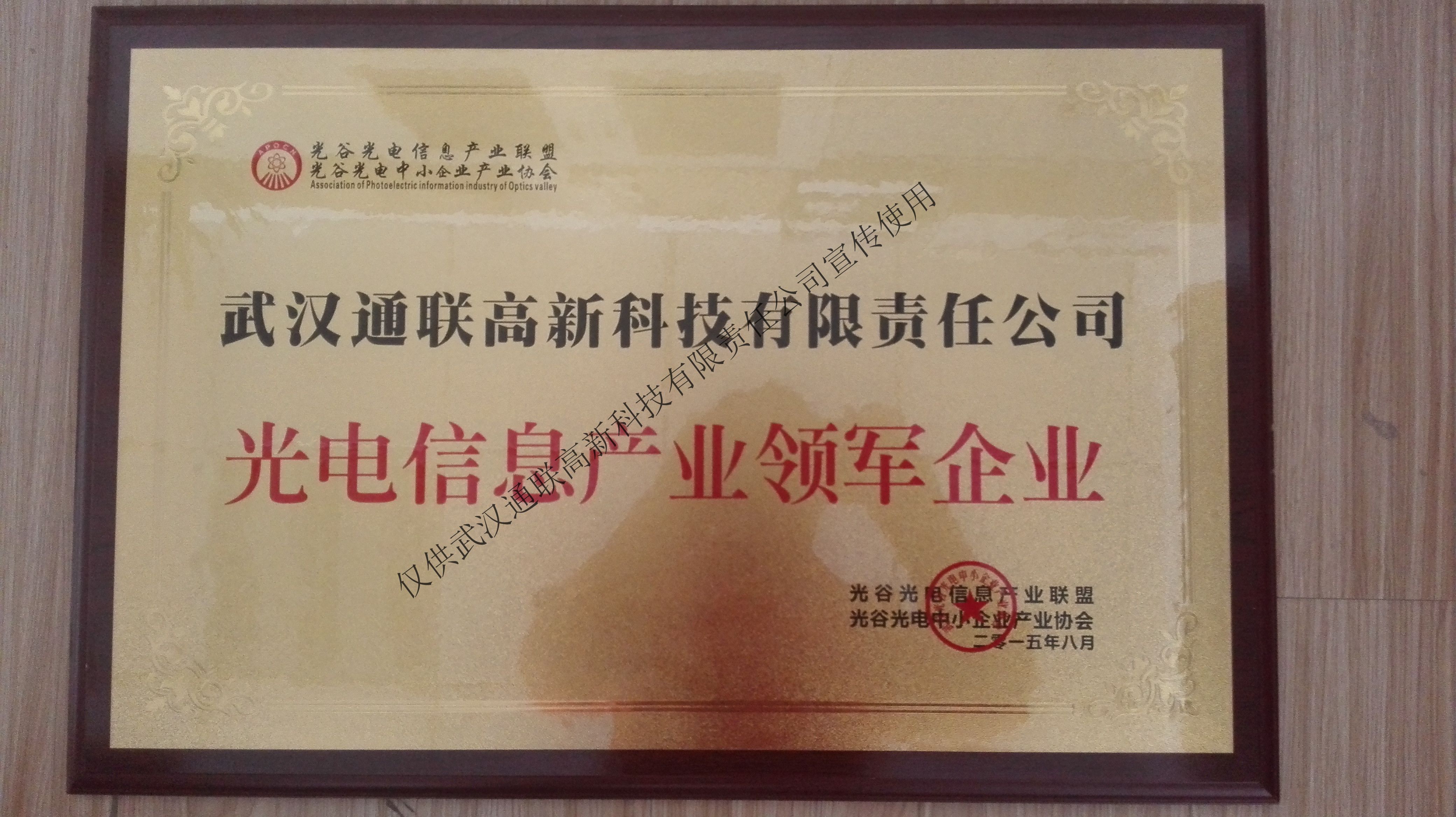 11光谷光電領軍企業